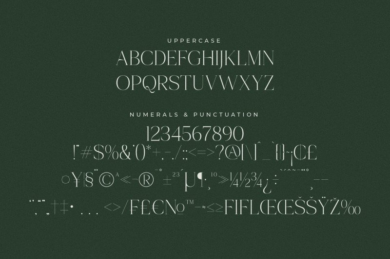 onesta-vigano-elegant-display-serif