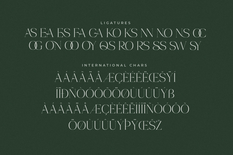 onesta-vigano-elegant-display-serif