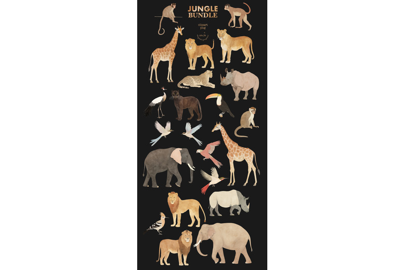 jungle-bundle