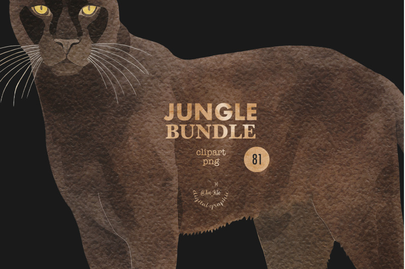 jungle-bundle