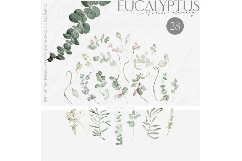 magnolia-amp-eucalyptus-source-elements