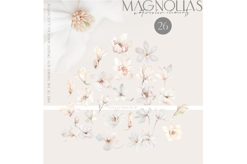 magnolia-amp-eucalyptus-source-elements