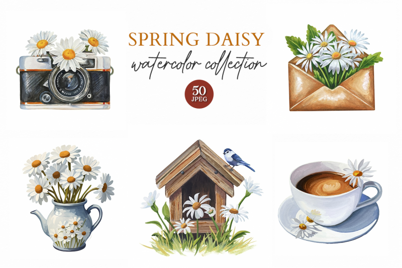 spring-daisy