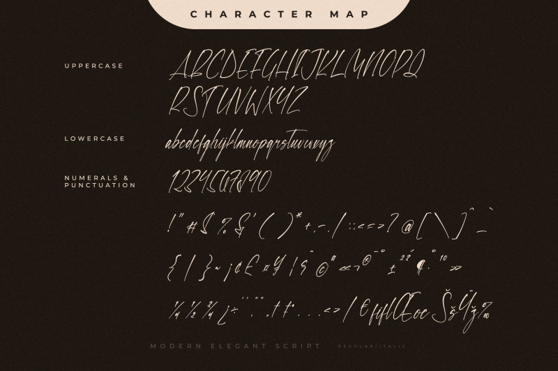 rodiant-mirage-modern-elegant-script