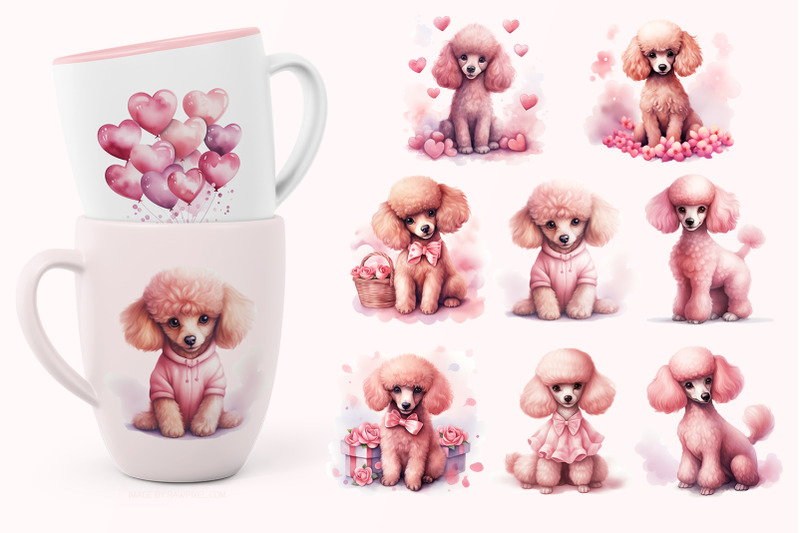 pretty-poodles-illustration-set