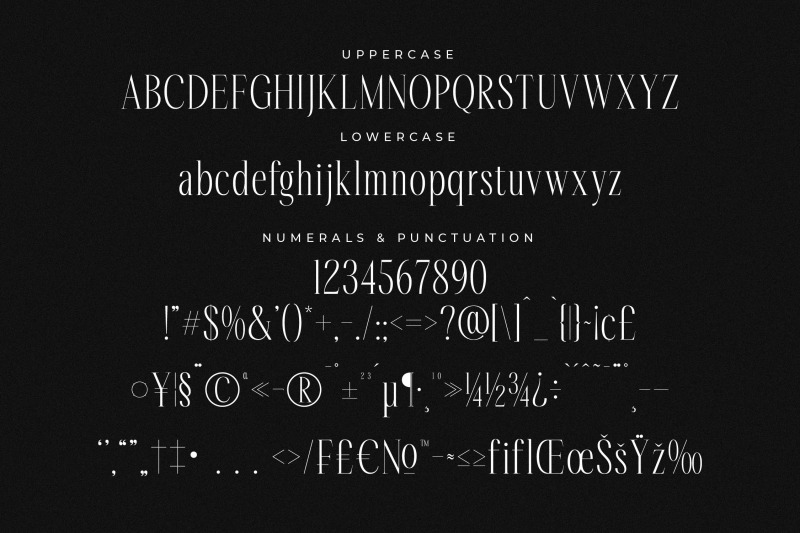rastofi-modern-ligature-serif