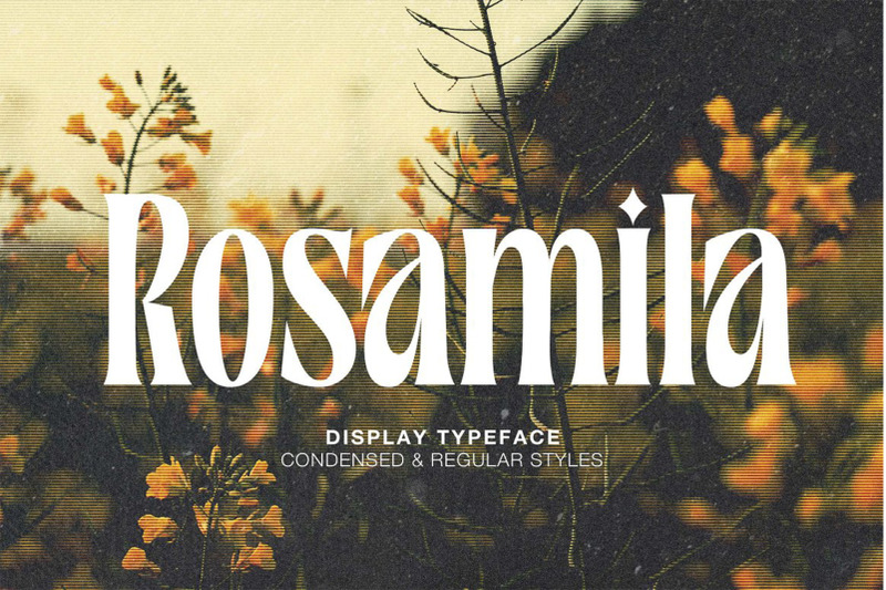 rosamila-display