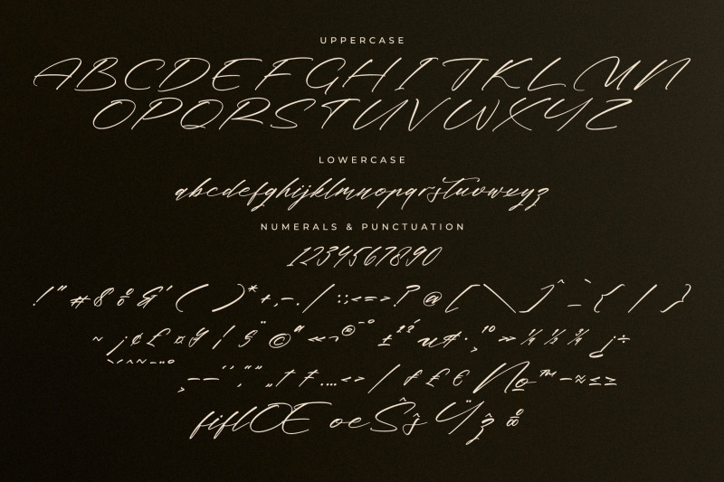 midnight-realtime-modern-calligraphy-script