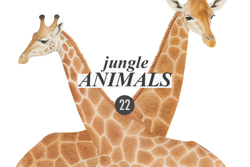 jungle-animals-vintage