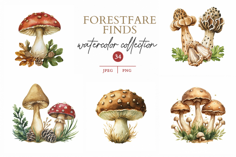 forestfare-finds