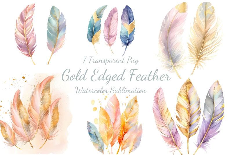 gold-edged-feather-watercolor-sublimation