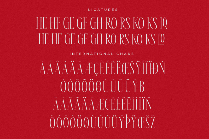 meksron-modern-serif-font