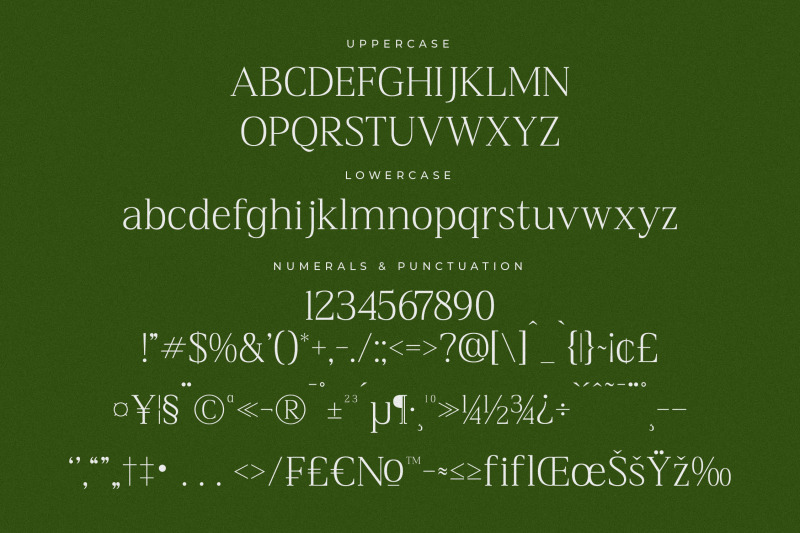 blacindy-modern-serif-font