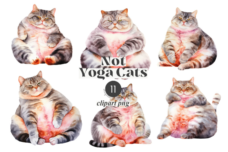 not-yoga-cats