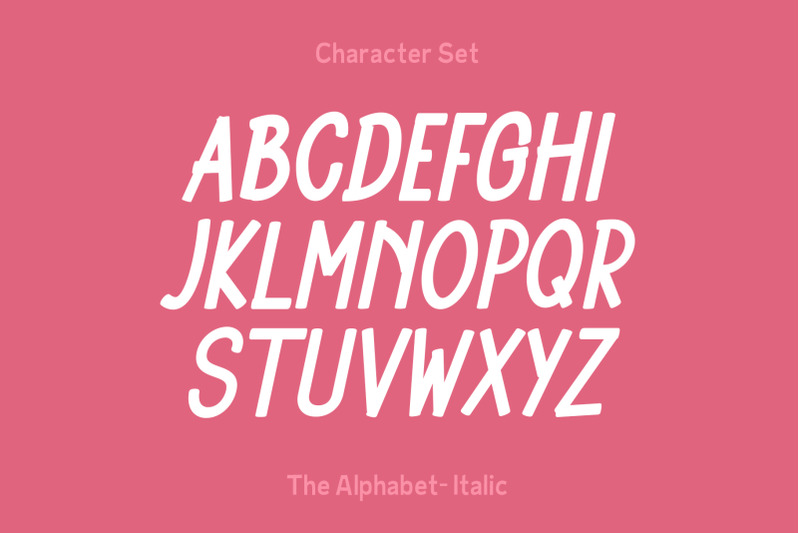 la-vie-en-rose-handwritten-beauty-font-feminine-typeface-font