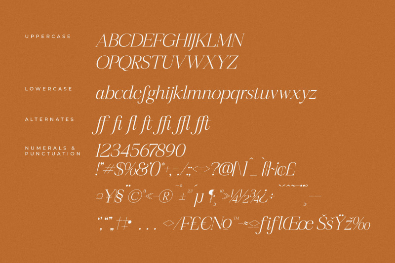 realife-moment-modern-serif-font