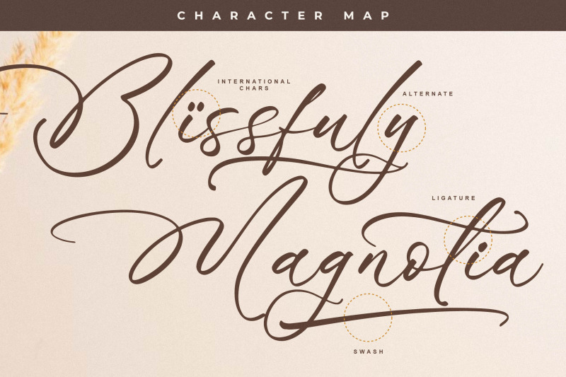 blissfuly-magnotia-modern-elegant-script