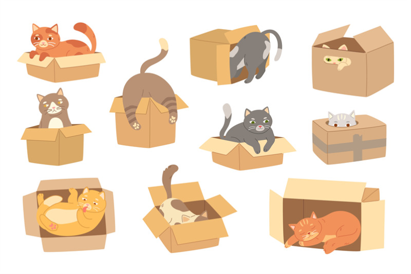 cartoon-cats-in-cardboard-box-felines-play-with-boxes-adopt-kittens