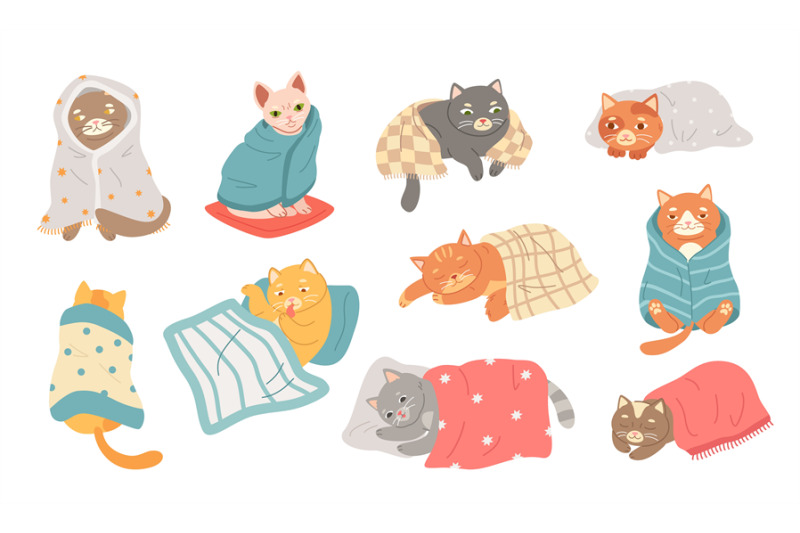 cute-cat-sleeping-under-blanket-cozy-domestic-kitten-adorable-feline