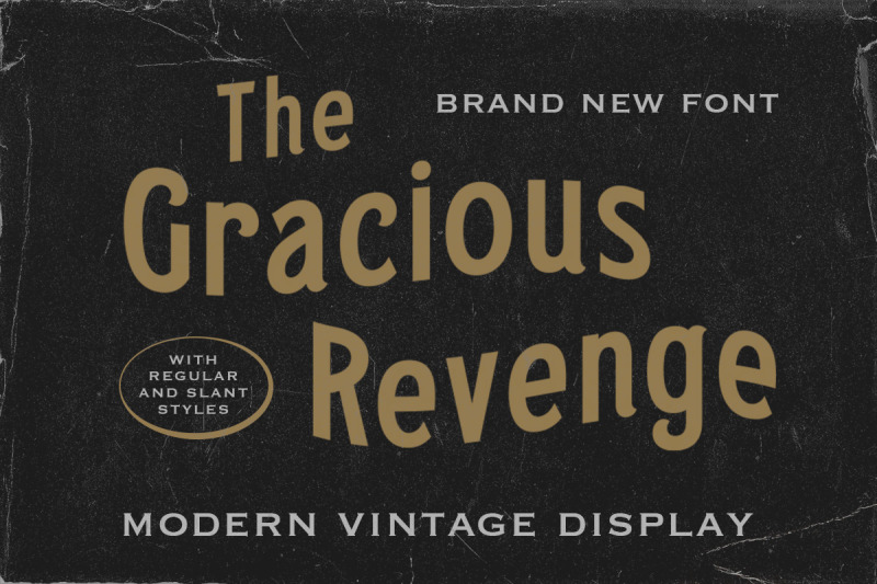 the-gracious-revenge-modern-vintage-display