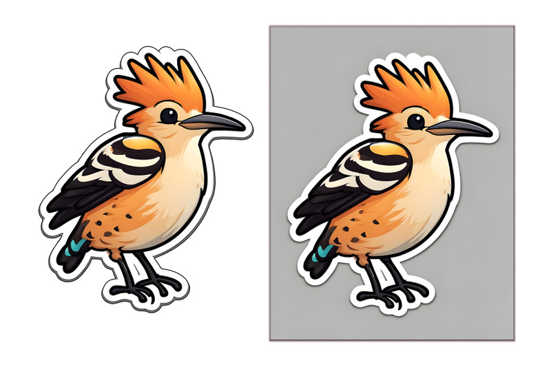 hoopoe