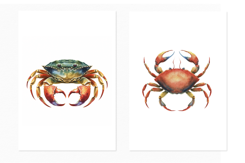 crab