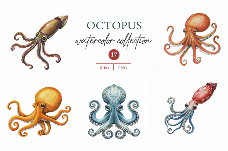 octopus