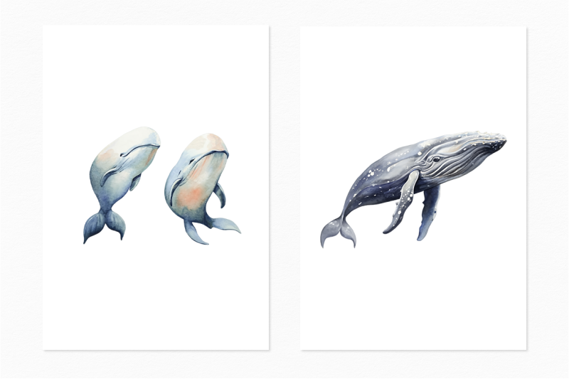 whales