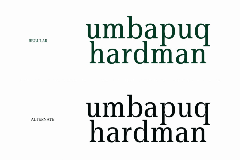 gardmun-kinsley-modern-serif-font