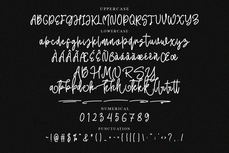 bambluck-monoline-script-font