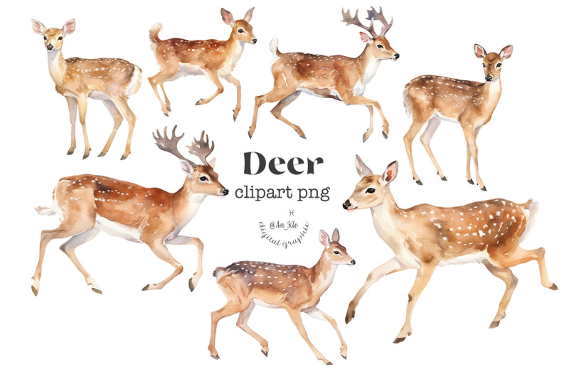 deer