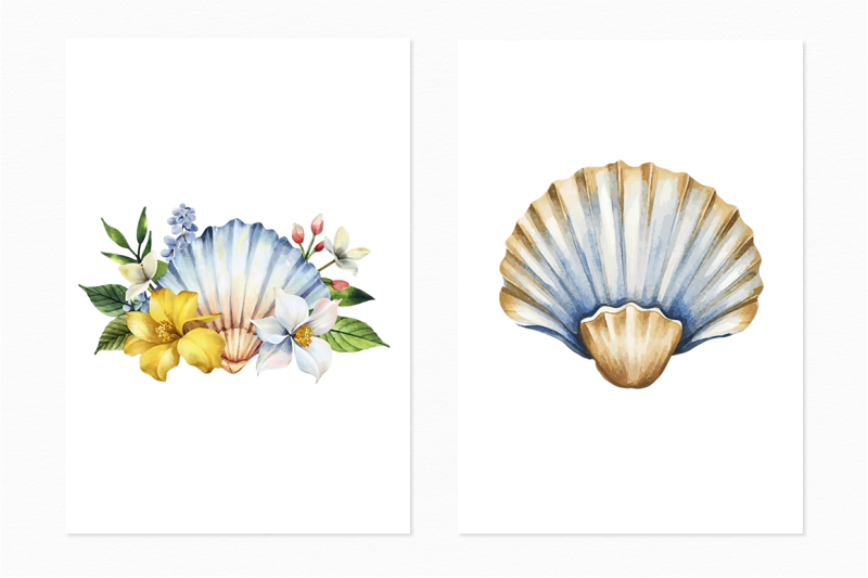 oceanic-seashell