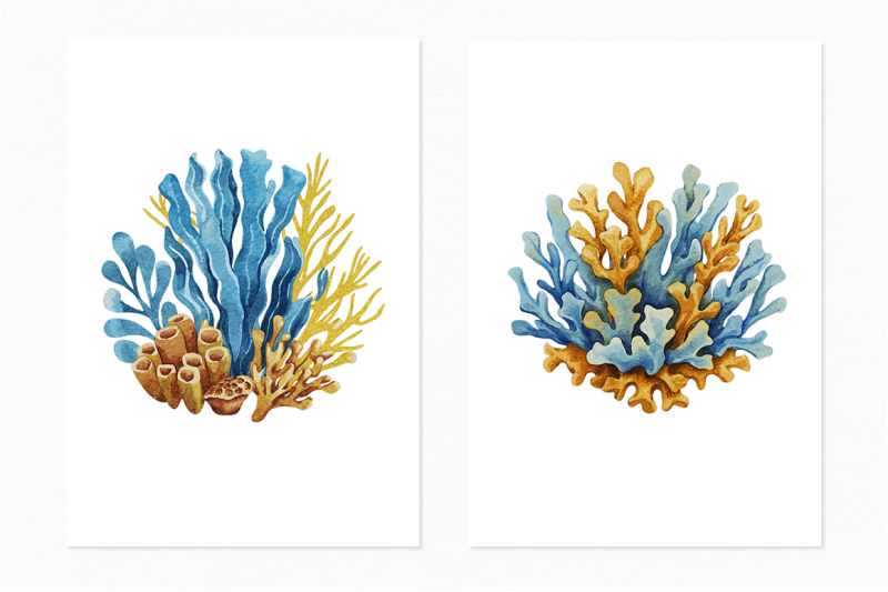 oceanic-corals
