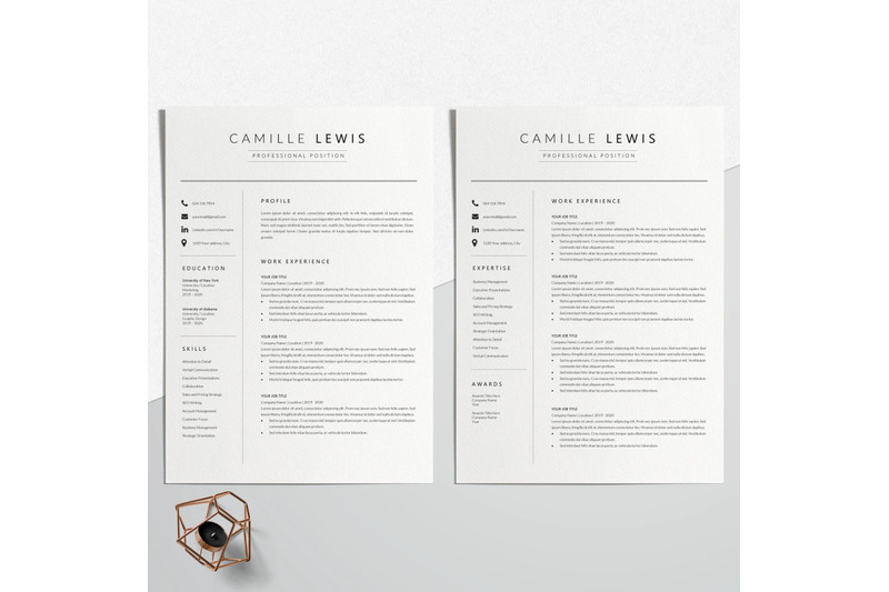 resume-template-cv-template-camille-lewis