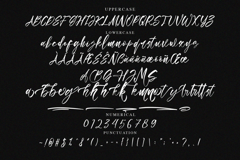 bellia-monika-elegant-script-font