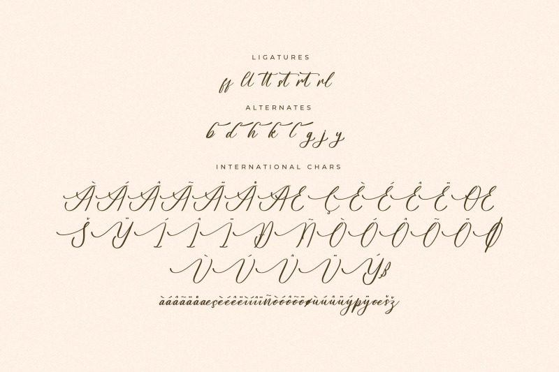 gradefully-beauttina-modern-beauty-script