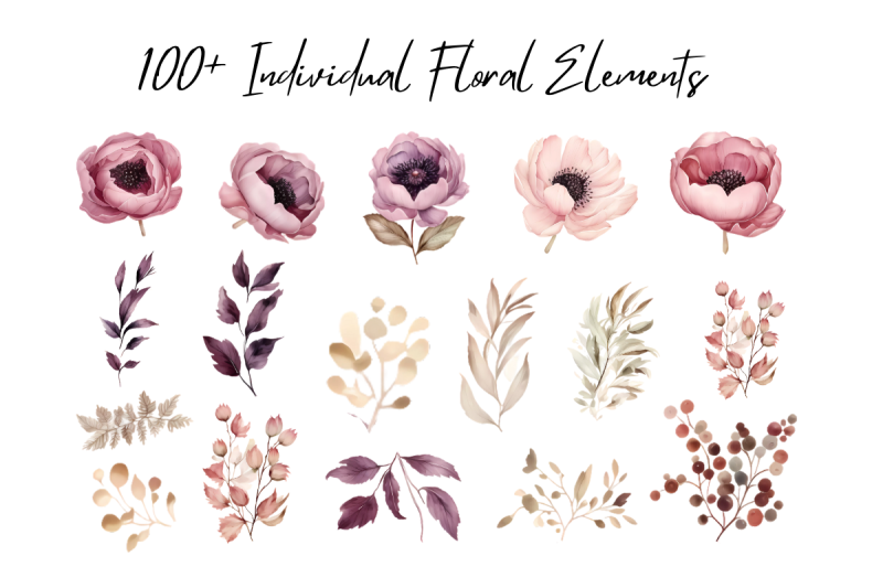 peony-floral-elements-clipart-pack