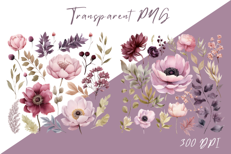 peony-floral-elements-clipart-pack