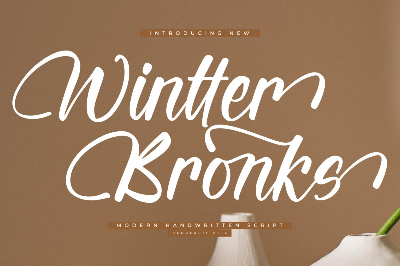 wintter-bronks-modern-handwritten-script