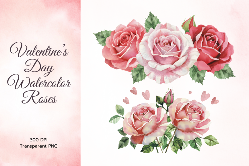 valentine-039-s-blush-pink-watercolor-roses