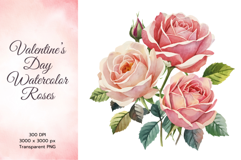 valentine-039-s-blush-pink-watercolor-roses