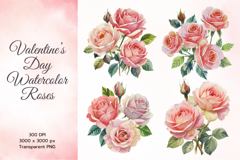 valentine-039-s-blush-pink-watercolor-roses