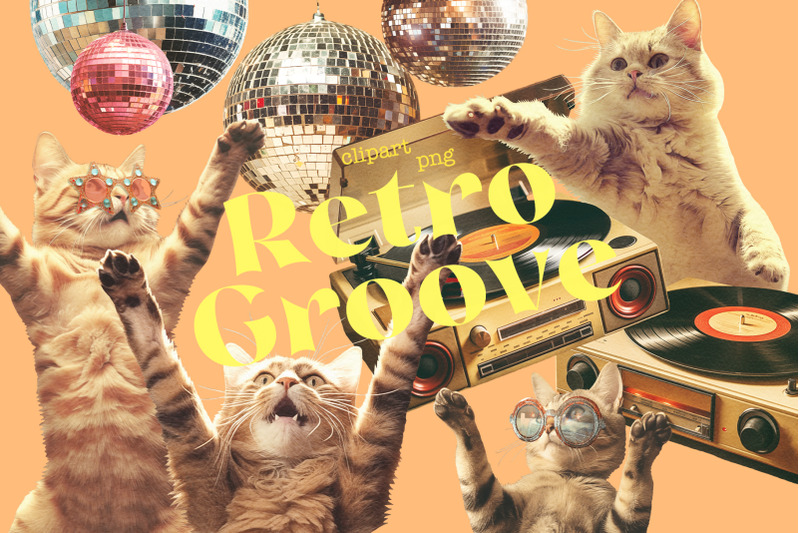 disco-cats