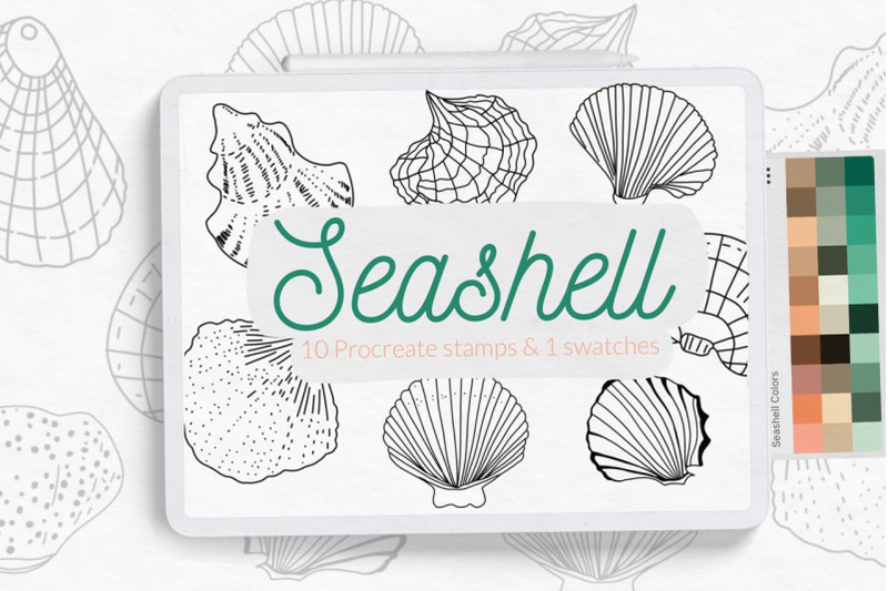 seashell-stamps-for-procreate