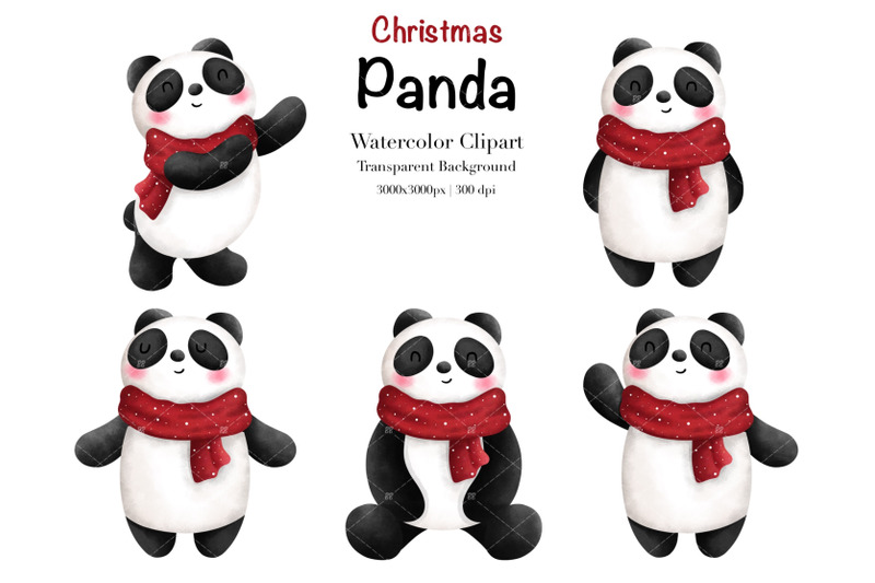 watercolor-christmas-panda-clipart