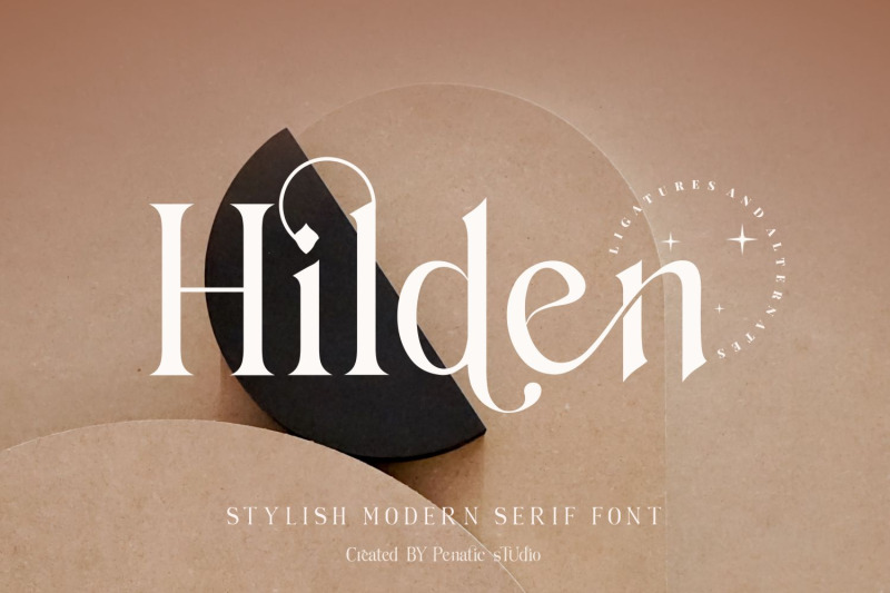 hilden-stylish-modern-serif-font
