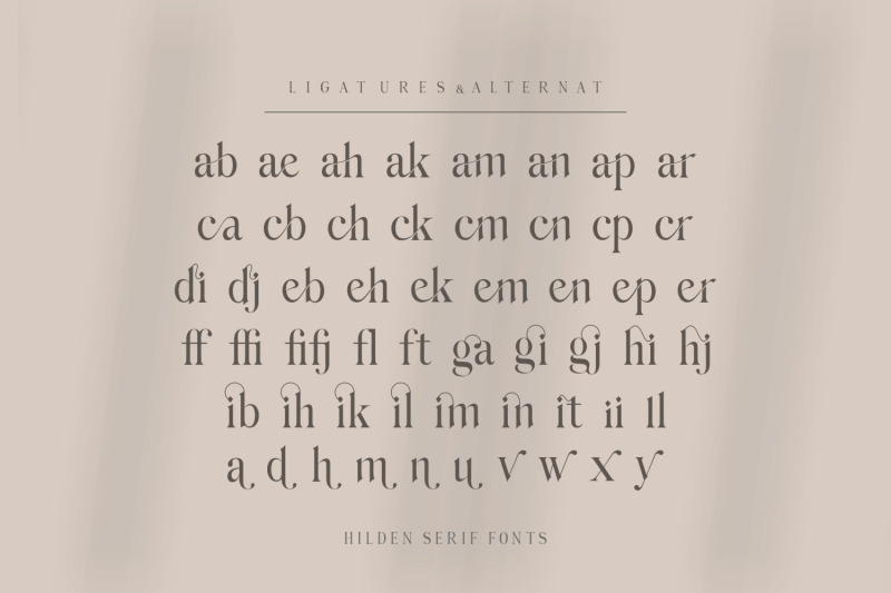 hilden-stylish-modern-serif-font