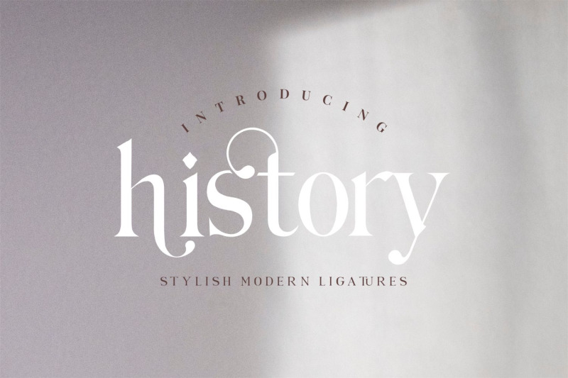 hilden-stylish-modern-serif-font