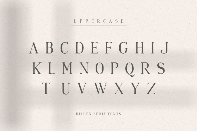 hilden-stylish-modern-serif-font