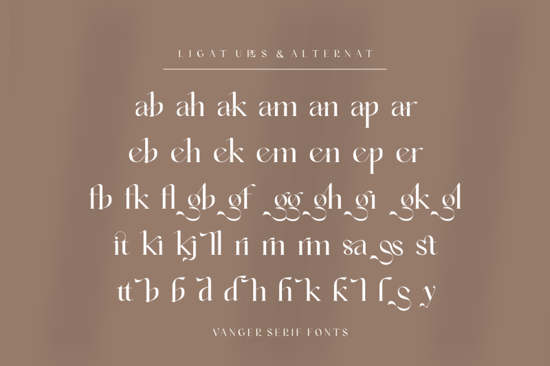 vanger-modern-serif-font